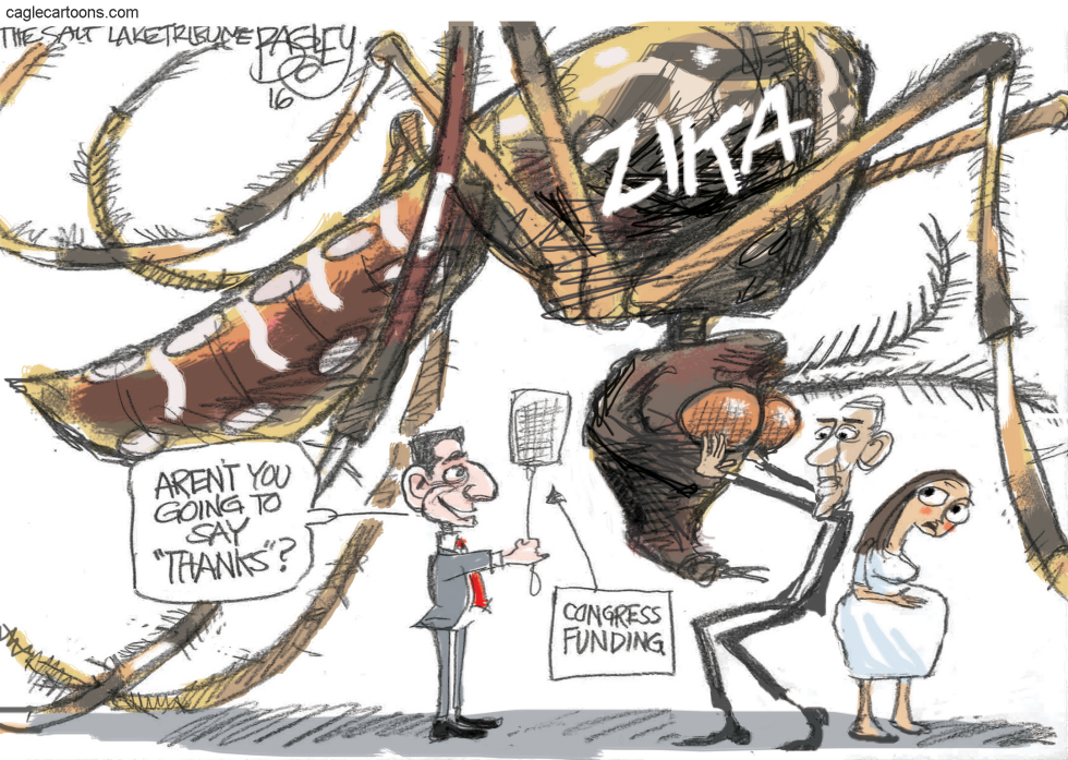 Zika Mosquito COLOR
