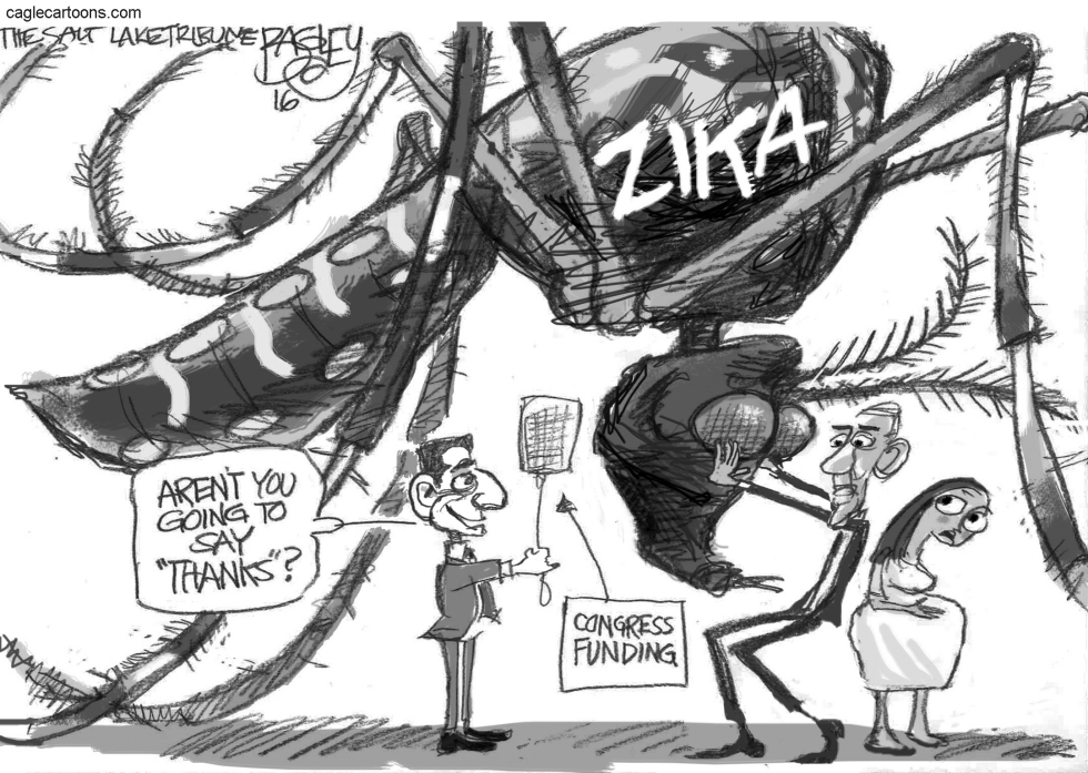 Zika Mosquito