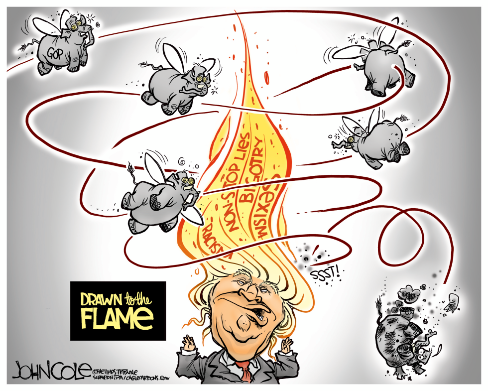  GOP DRAWN TO THE FLAME by John Cole