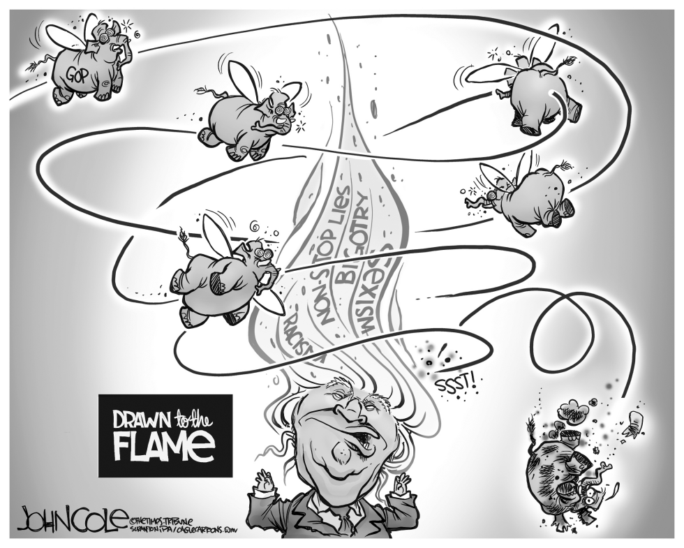 GOP drawn to the flame BW