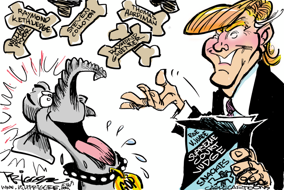 Trump Treats COLOR