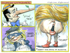 CAMPAIGN NICKNAMES -  by Taylor Jones