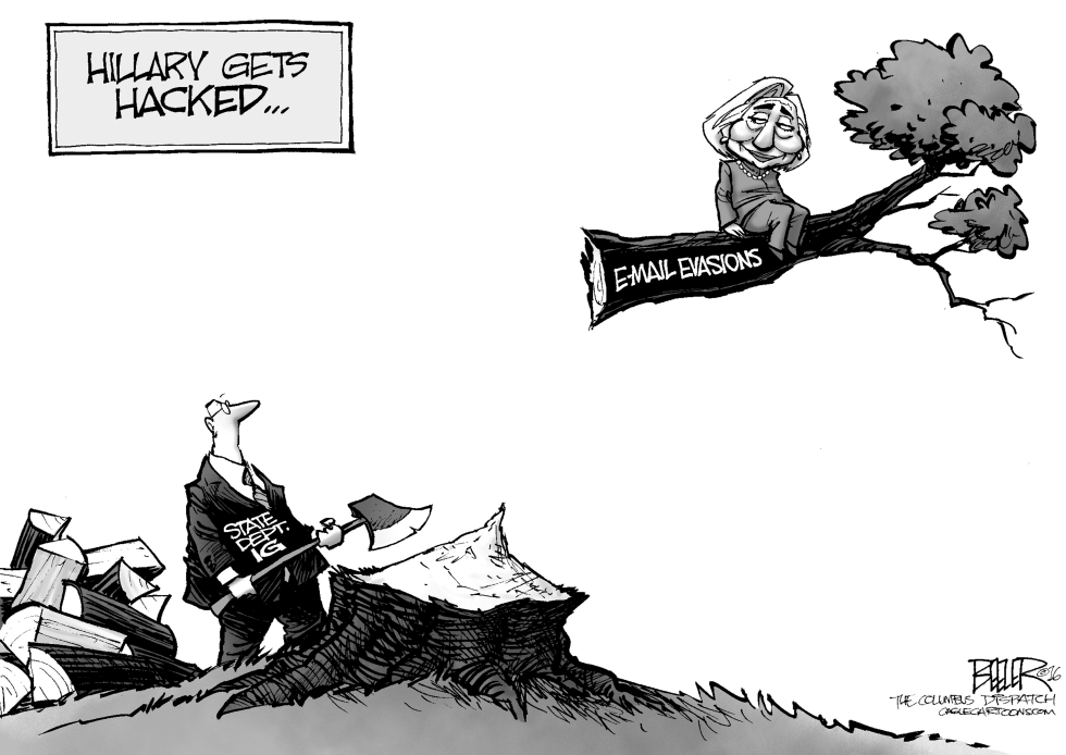 Hillary Up a Tree