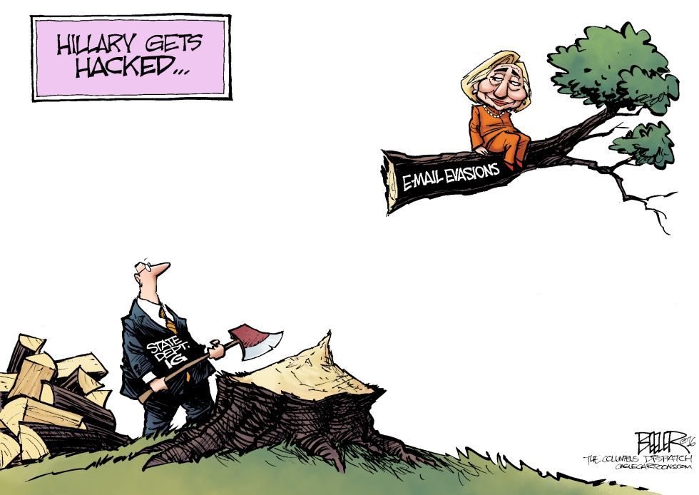 Hillary Up a Tree COLOR