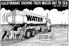 TRUMP ON DROUGHT by Monte Wolverton