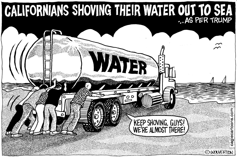 Trump on Drought