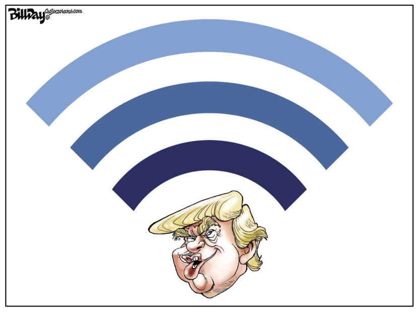 Red Trump / COLOR