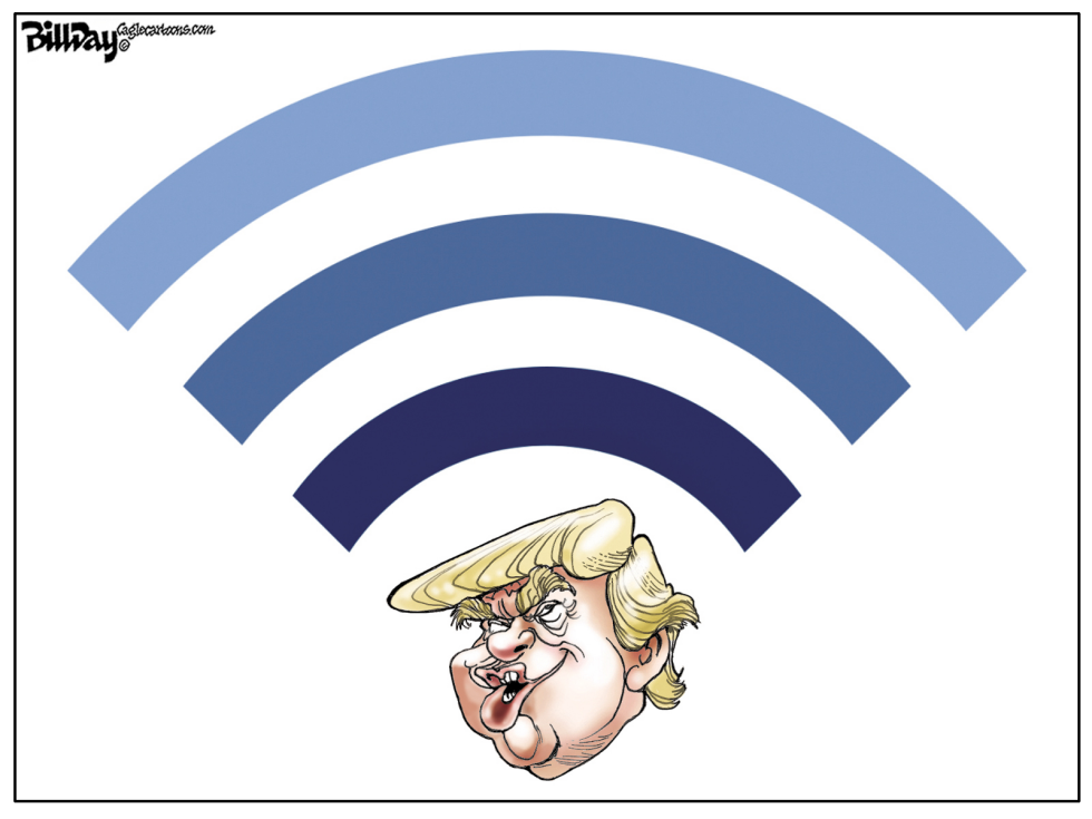 Red Trump / COLOR