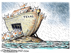TEXAS FLOODS  by Dave Granlund