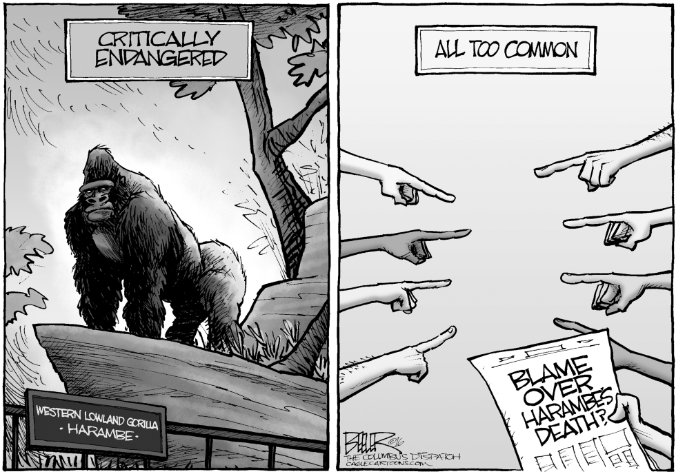 Harambe