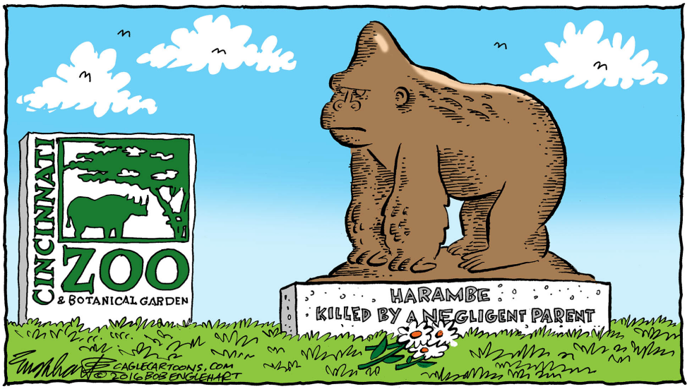 Harambe COLOR