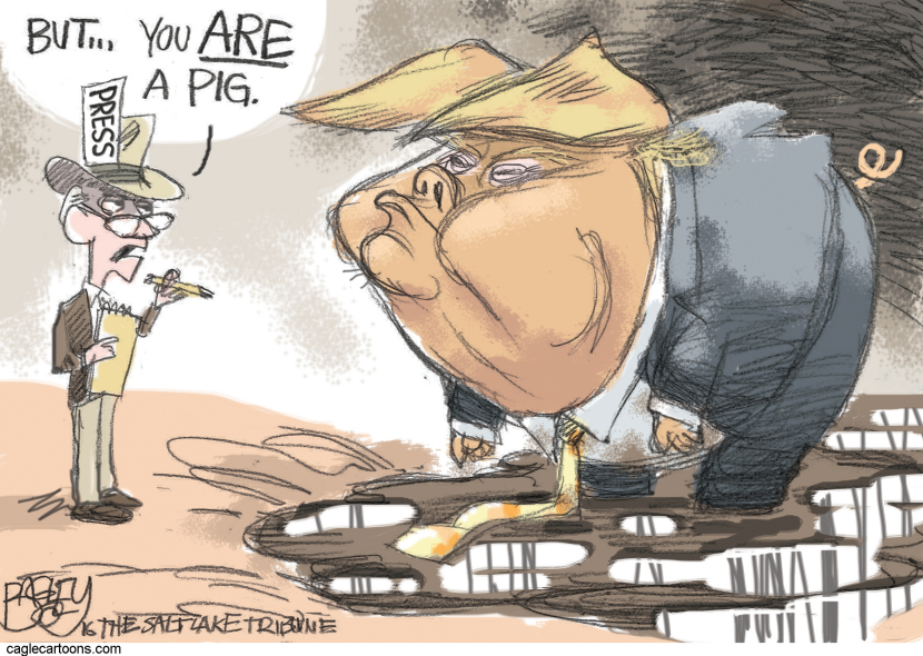 Media Hog COLOR
