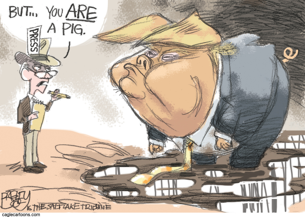 Media Hog COLOR