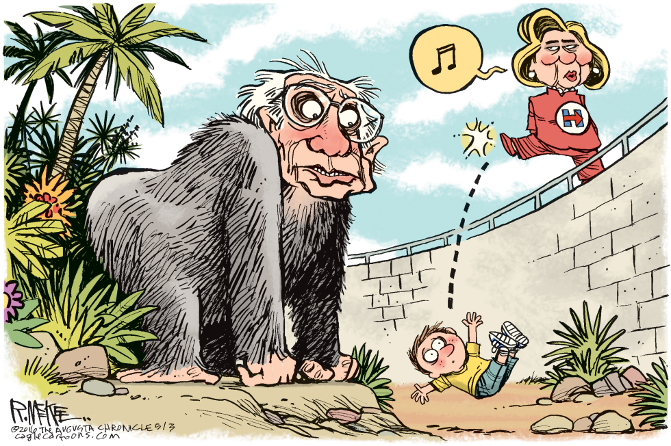  BERNIE GORILLA by Rick McKee