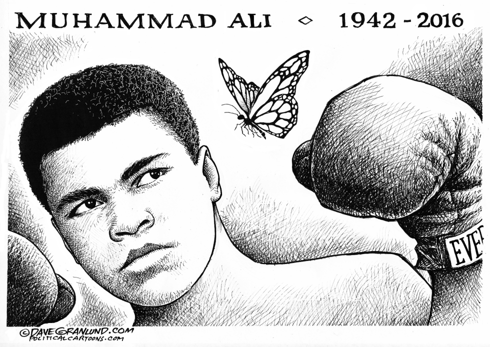 Muhammad Ali tribute