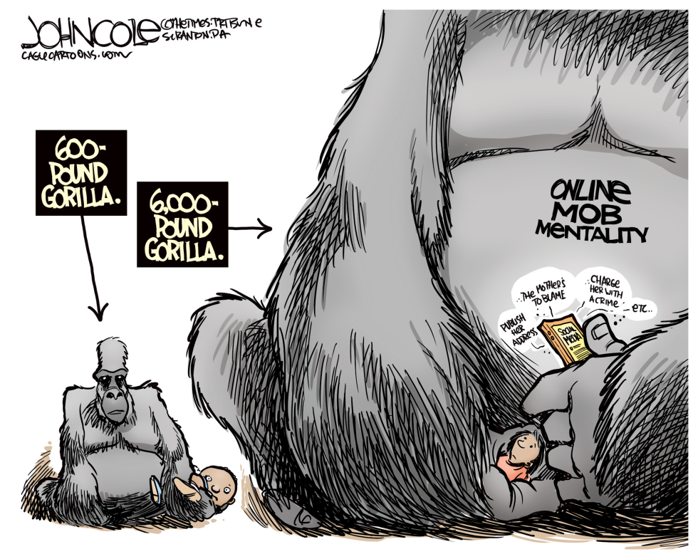 Social media mob mentality COLOR