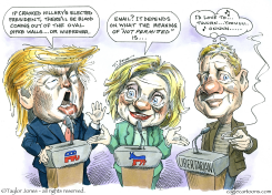 GARY JOHNSON FOR PRESIDENT -  by Taylor Jones