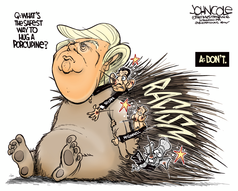 Stuck on Trump COLOR