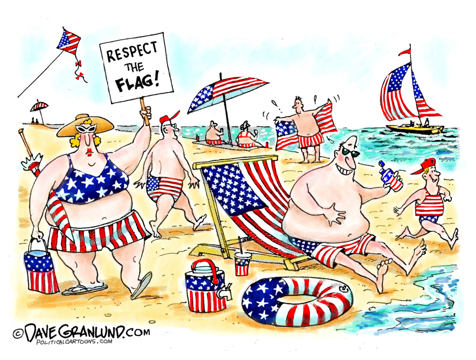  FLAG DAY AND RESPECT by Dave Granlund