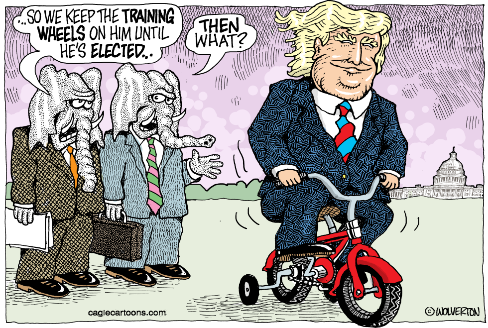 Trump Training Wheels COLOR