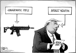 GUNS AND BANS by Nate Beeler