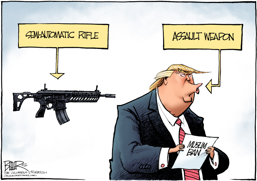 Guns and Bans COLOR