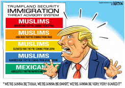 TRUMPLAND SECURITY IMMIGRATION THREAT ADVISORY SYSTEM by R.J. Matson