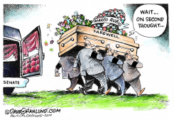 RUBIO RECONSIDERING  by Dave Granlund