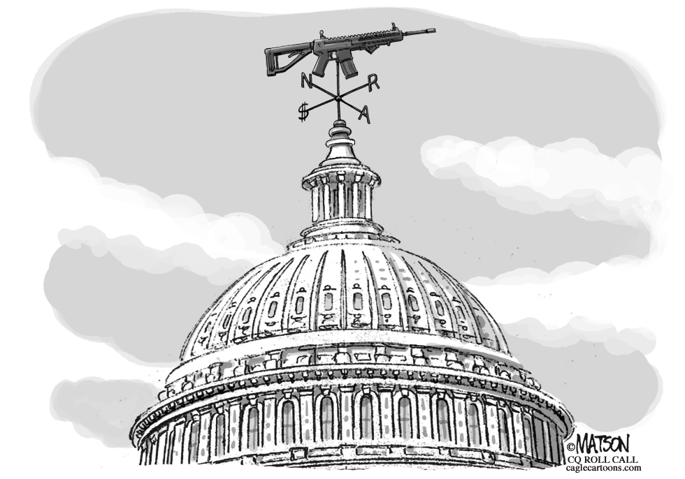 NRA Political Weathervane on Capitol Hill