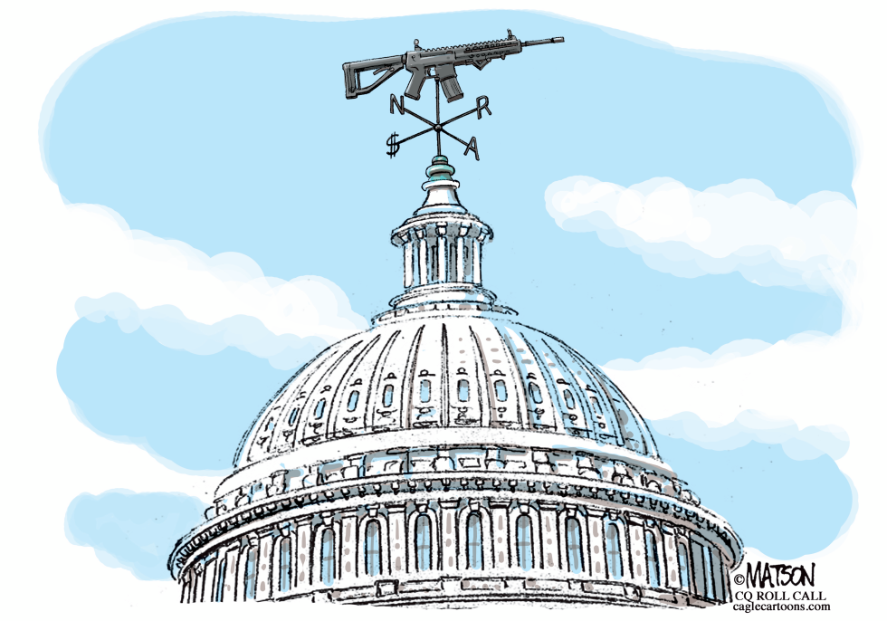Veleta Politica de la NRA en Capitolio / COLOR