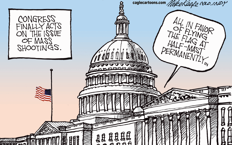 Congress on Guns COLOR