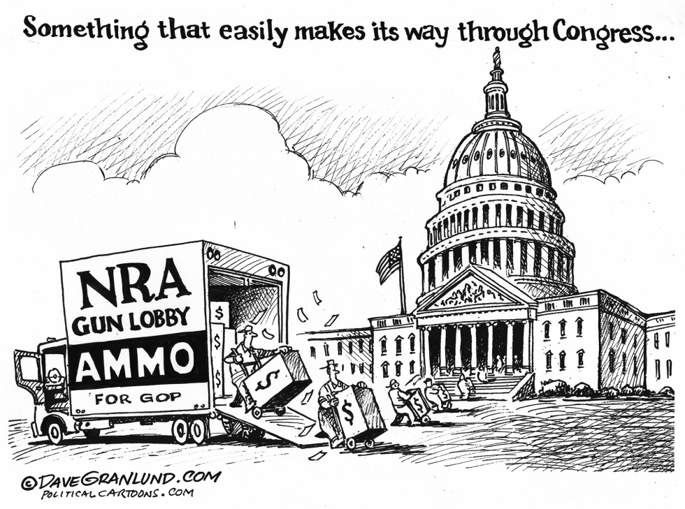 Gun Lobby and Congress