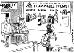 SECURITY CHECK by Zapiro