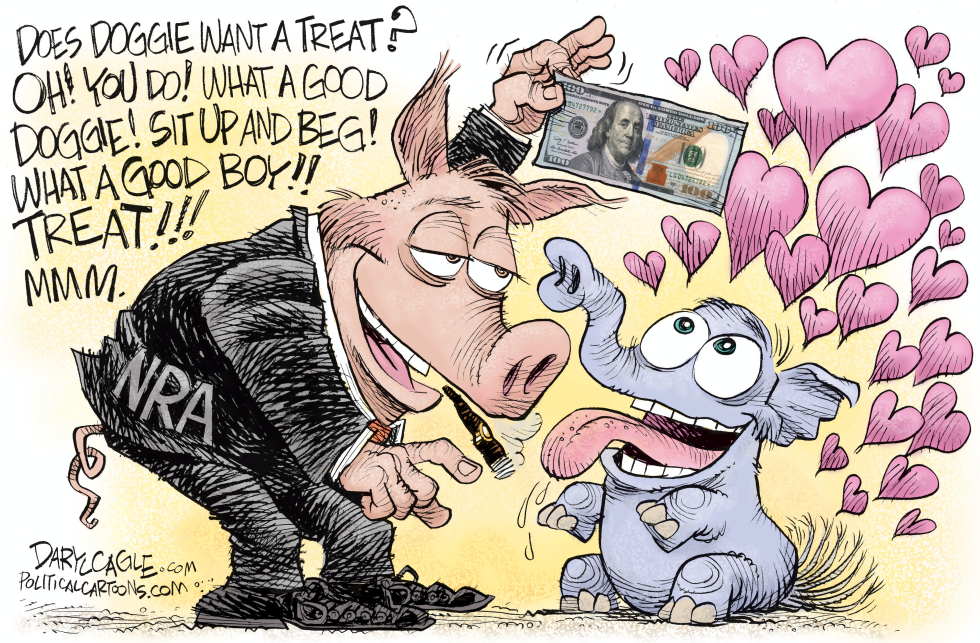 The NRA and Republicans COLOR
