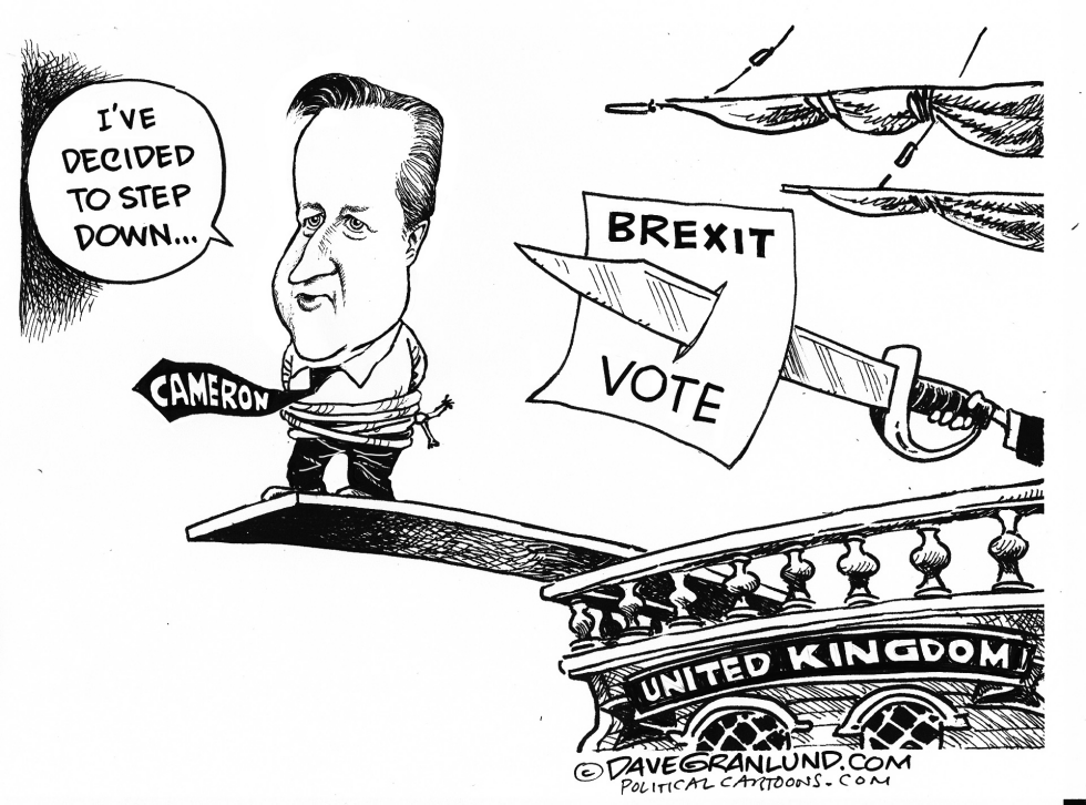 Cameron stepping down