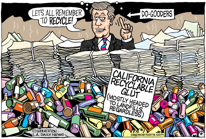 LOCAL-CA Recyclable Glut COLOR