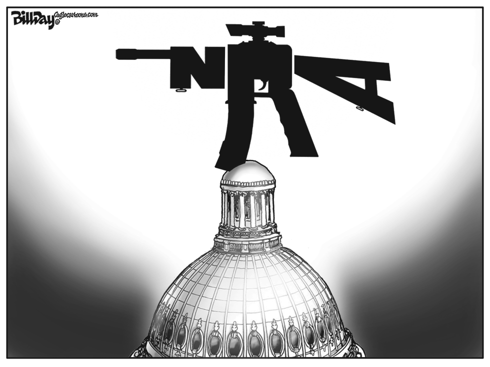  LA NRA EN EL CONGRESO by Bill Day