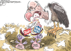 ANGRY BIRDS  by Pat Bagley