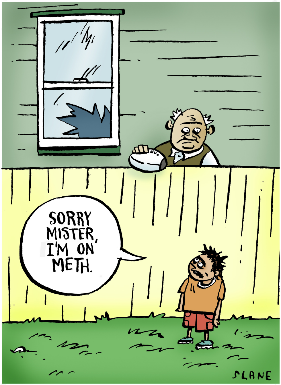 Methamphetamine Abuser