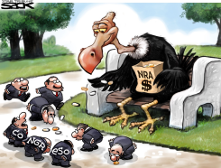 PAJARITOS DE LA NRA / by Steve Sack