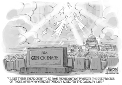 GUNS TERRORIST WATCH LIST AND DUE PROCESS by R.J. Matson