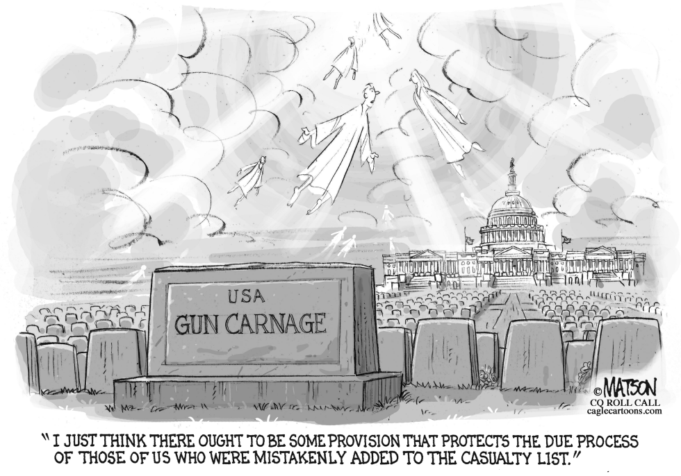 Guns Terrorist Watch List and Due Process
