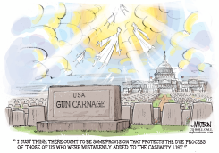 GUNS TERRORIST WATCH LIST AND DUE PROCESS by R.J. Matson