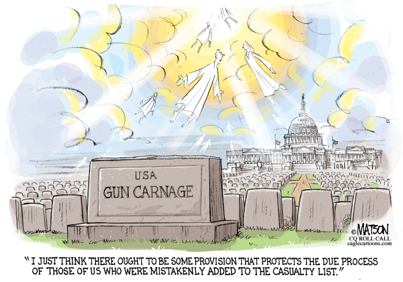Guns Terrorist Watch List and Due Process-COLOR
