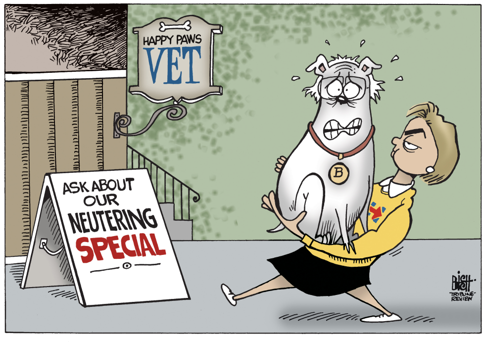 BERNIE SANDERS GETS NEUTERED, COLOR