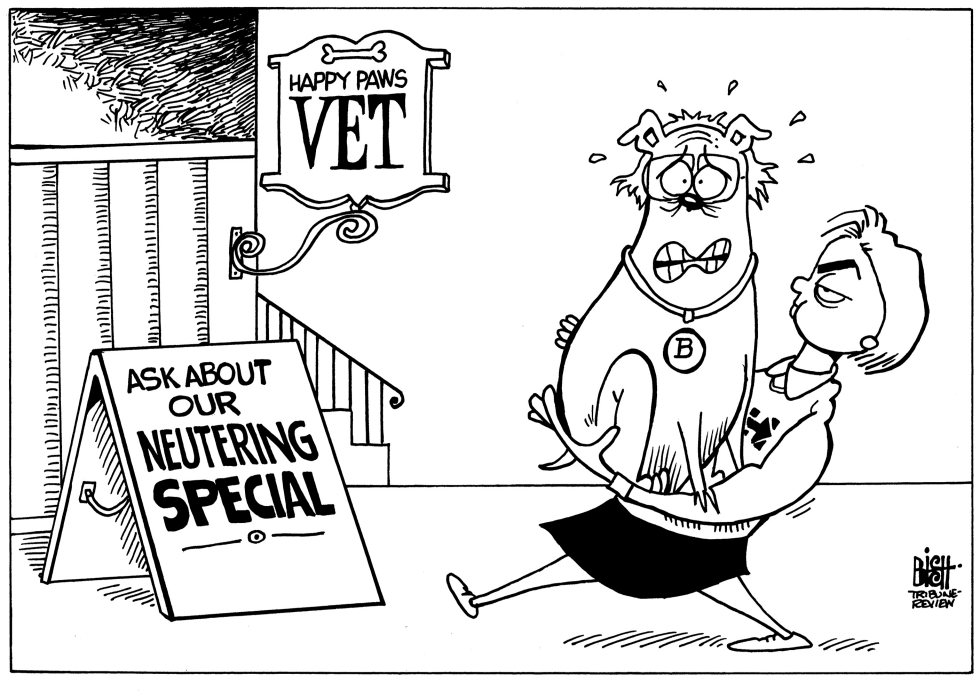 BERNIE SANDERS GETS NEUTERED, B/W