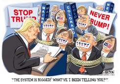 BOUND AND UNIFIED REPUBLICAN CONVENTION DELEGATES by R.J. Matson