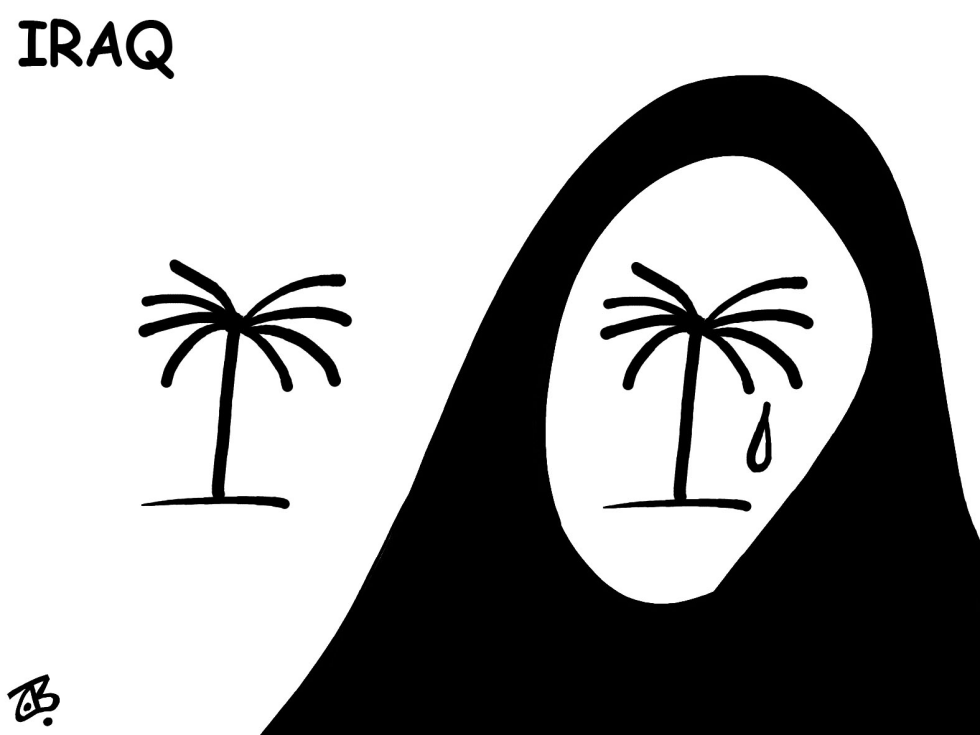 palms of iraq