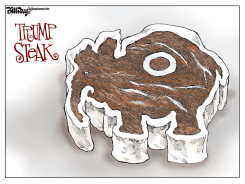 TRUMP STEAK by Bill Day