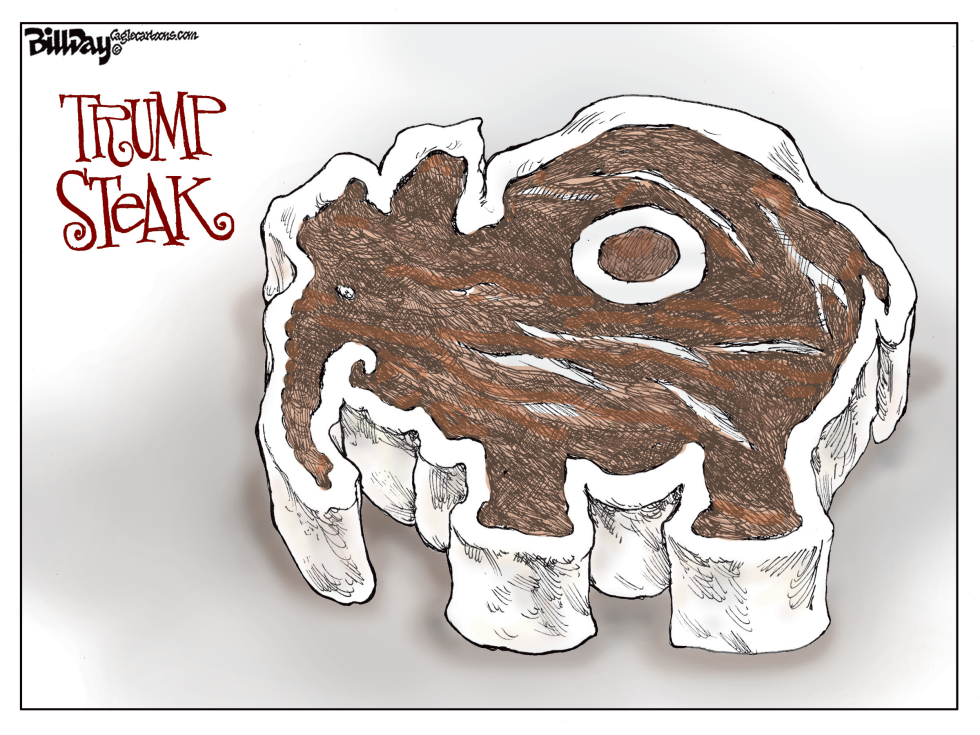 TRUMP STEAK  color